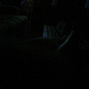 Meet your Posher, Troy